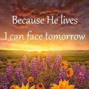 Meet your Posher, Jane